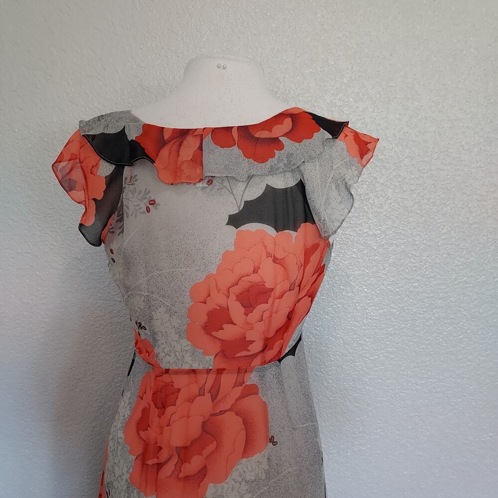 Moulinette Soeurs Sheer Coral Silk Spring Dress Size 6 - Picture 10 of 12